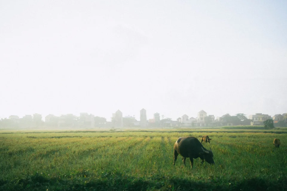 Kho gạo của Nguyễn Xuân Thu